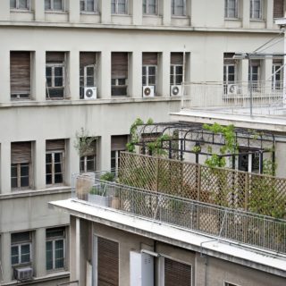 Όπως κοιτάτε ψηλά στο κέντρο της Αθήνας, θα συναντήσετε μια πέργκολα που θα θέλετε να την επισκεφθείτε αμέσως