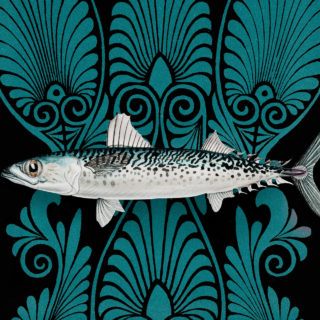 5 +1  προτάσεις για να φάτε οικονομικά ψάρι στην Αθήνα