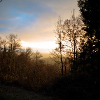 Αναζητώντας την Γαλλία