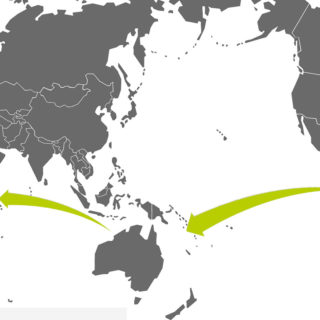 Ελληνικό Narcos: Tο μακρύ ταξίδι της κόκας από το Εκουαδόρ που δεν πρόλαβε να γίνει