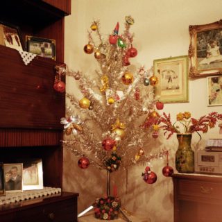 «Τόσο πολύ σε ευχαριστεί να ταξιδεύεις μέσα στη νύχτα και να σκαρφαλώνεις στις σκεπές;»