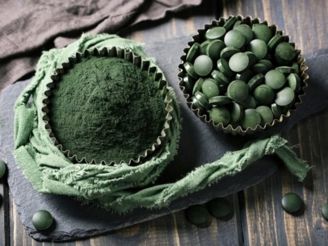 Γιατί χρειάζεται να βάλεις τα μικροάλγη στη ζωή σου