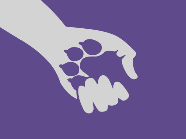 Κι αν μια μέρα χρειαστεί να κάνεις στο κατοικίδιό σου ευθανασία;