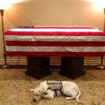 Πιστός μέχρι το τέλος: Η συγκινητική φωτογραφία του σκύλου του Τζορτζ Μπους