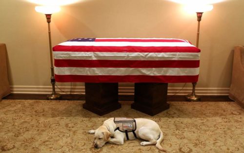 Πιστός μέχρι το τέλος: Η συγκινητική φωτογραφία του σκύλου του Τζορτζ Μπους