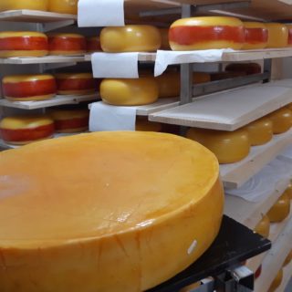 Δεν πάει το μυαλό σας από που είναι το καλύτερο τυρί του πλανήτη