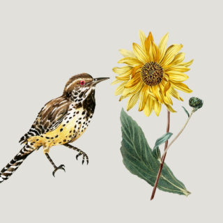 Μικρή, τρυφερή ιστορία