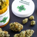 Η Ευρωβουλή στηρίζει τη χρήση της κάναβης για φαρμακευτικούς σκοπούς