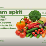 Romantso & Kormoranos: Team Spirit 5