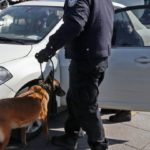 Κίνα: Κλωνοποιήθηκε για πρώτη φορά αστυνομικός σκύλος