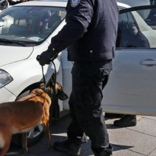 Κίνα: Κλωνοποιήθηκε για πρώτη φορά αστυνομικός σκύλος