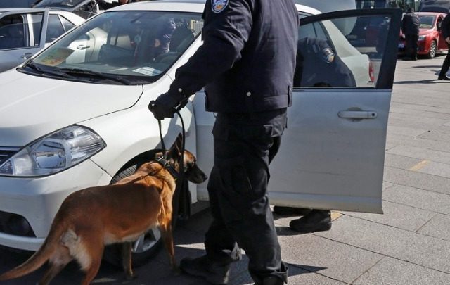 Κίνα: Κλωνοποιήθηκε για πρώτη φορά αστυνομικός σκύλος