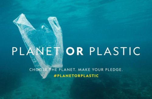 Εσύ προτιμάς να σώσεις τον πλανήτη ή το πλαστικό;