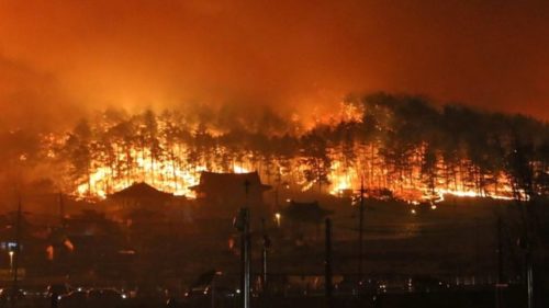 Κατάσταση φυσικής καταστροφής κήρυξε η Νότια Κορέα εξαιτίας των τεράστιων δασικών πυρκαγιών
