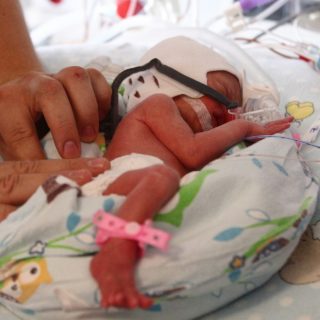 Εξάδυμα γεννήθηκαν στην Κρακοβία