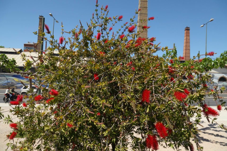 Οδός Πειραιώς