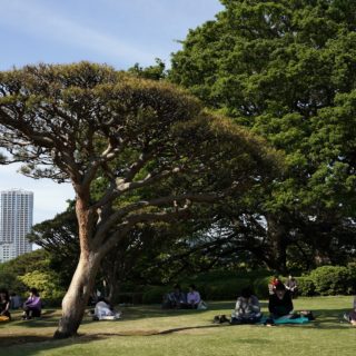 Βόλτα στα πάρκα της Ασίας