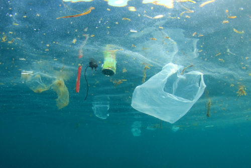 Ιταλία: Οι ψαράδες δεν θα πετούν πλέον τα πλαστικά απορρίμματα που ψαρεύουν πίσω στη θάλασσα