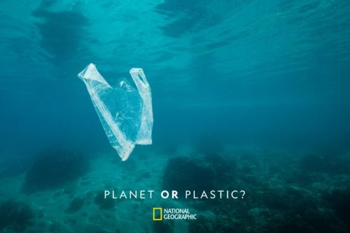 Planet or Plastic? Επιλέγουμε τον πλανήτη. Κάθε πράξη μετράει.
