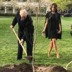 Πέθανε το δέντρο του Μακρόν και του Τραμπ