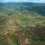 Σχεδόν 600 είδη φυτών έχουν εξαφανιστεί τα τελευταία 250 χρόνια, με ρυθμό υπερδιπλάσιο από τα ζώα