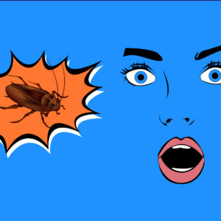 Οι εχθροί και οι φίλοι του καλοκαιριού