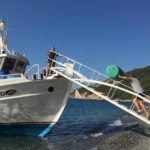 Σκιάθος: Πυρασφάλεια με ξεβρασμένα βαρέλια από μυδοκαλλιέργειες