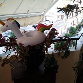 5 η ώρα το απόγευμα μια Κυριακή του Αυγούστου