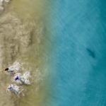 Ένας μπαμπάς φωτογράφησε με drone έναν καρχαρία να κολυμπά δίπλα σε πέντε παιδιά