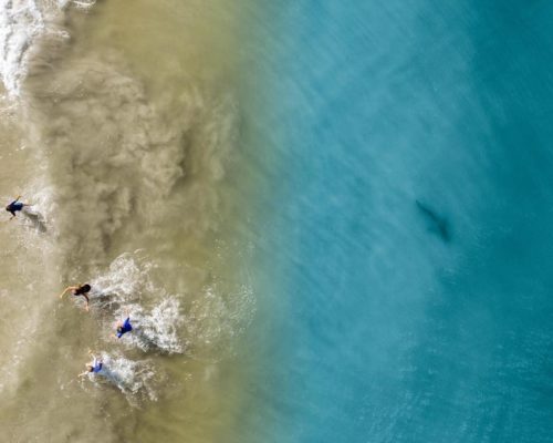 Ένας μπαμπάς φωτογράφησε με drone έναν καρχαρία να κολυμπά δίπλα σε πέντε παιδιά