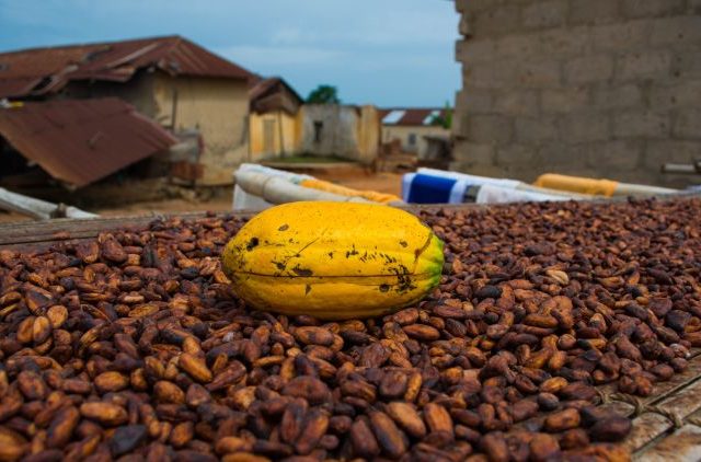 Γκάνα και Ακτή Ελεφαντοστού υψώνουν το ανάστημά τους στις σοκολατοβιομηχανίες