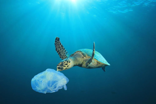 Παγκόσμια Ημέρα Κατά της Πλαστικής Σακούλας σήμερα