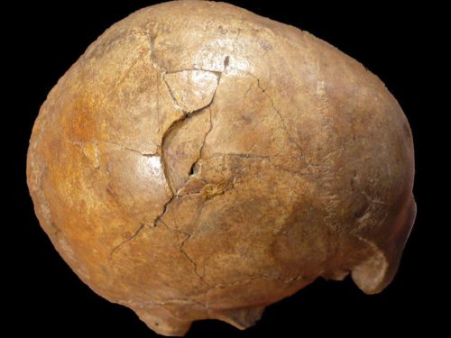Ελληνίδες ερευνήτριες «εξιχνίασαν» φόνο που έγινε πριν 33.000 χρόνια
