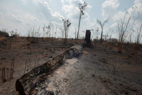 Βραζιλία: Οι αρχές αναλαμβάνουν δράση για να αντιμετωπίσουν τις πυρκαγιές στον Αμαζόνιο