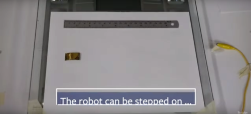 Δημιουργήθηκε ρομπότ-κατσαρίδα που και να το πατήσεις δεν παθαίνει τίποτε! (video)