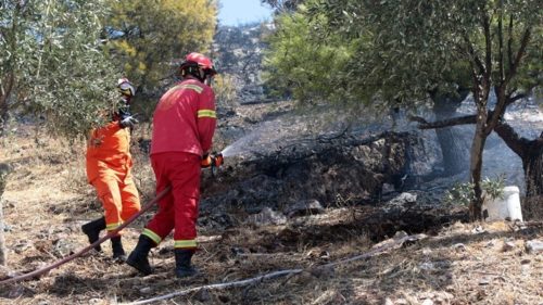 46 δασικές πυρκαγιές εκδηλώθηκαν το τελευταίο 24ωρο σε όλη την Ελλάδα