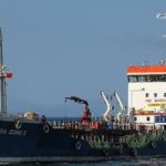 WWF: «Δυο χρόνια από το ναυάγιο του Αγία Ζώνη ΙΙ, ένα περιβαλλοντικό έγκλημα χωρίς τιμωρία ακόμα»