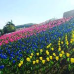 Μια πόλη στις νότιες Φιλιππίνες μετέτρεψε τα πλαστικά απορρίμματα σε τουλίπες