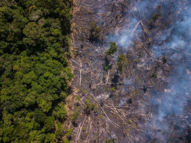 Η αποψίλωση του Αμαζονίου ενισχύεται από τη βία του οργανωμένου εγκλήματος και την ατιμωρησία στη Βραζιλία