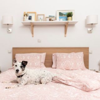 9 τρόποι να μειώσεις την σκόνη, για να μην ξεσκονίζεις συνέχεια