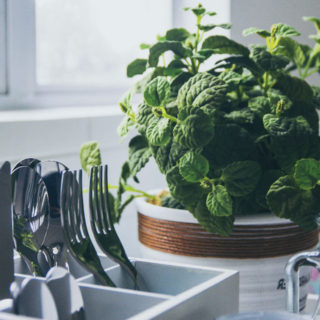 Τα μυρωδικά που μεγαλώνουν εύκολα μέσα στο σπίτι