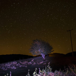 LIFE IN: Μια μοναδική έκθεση φωτογραφίας από τους σπουδαστές της Σχολής Φωτογραφικών Σπουδών Όραμα