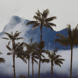 Επόμενη Πτήση για Κολομβία;