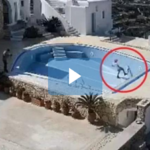 Μαθητές δημοτικού σκότωσαν με κλωτσιές τυφλή γάτα στη Φολέγανδρο (βίντεο)