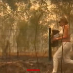 Συγκλονιστικό βίντεο: Γυναίκα μπαίνει στις φλόγες για να σώσει παγιδευμένο κοάλα [ΒΙΝΤΕΟ]