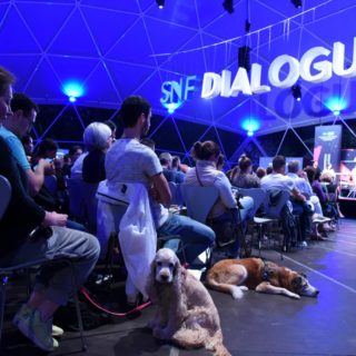 Τι μάθαμε για την κακοποίηση ζώων από τους «Διαλόγους» του ΙΣΝ;