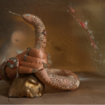 Μια Yπόθεση Tελετουργικών Mεσαίας Tάξης: Μια ατομική έκθεση της Ξένιας Χ. Ι. Βήτου