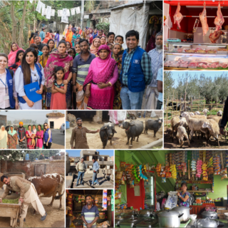 ΔΟΜ: 16,500 εθελούσιες επιστροφές στην επόμενη τριετία