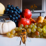 «B», η πρώτη μέλισσα influencer