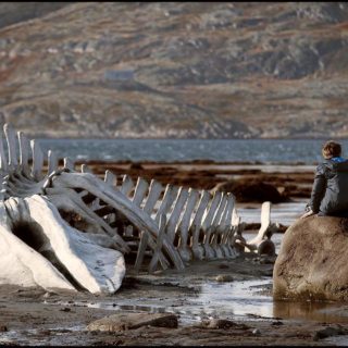 Οι Καλύτερες Ταινίες των 10s: #5 Λεβιάθαν (2014)